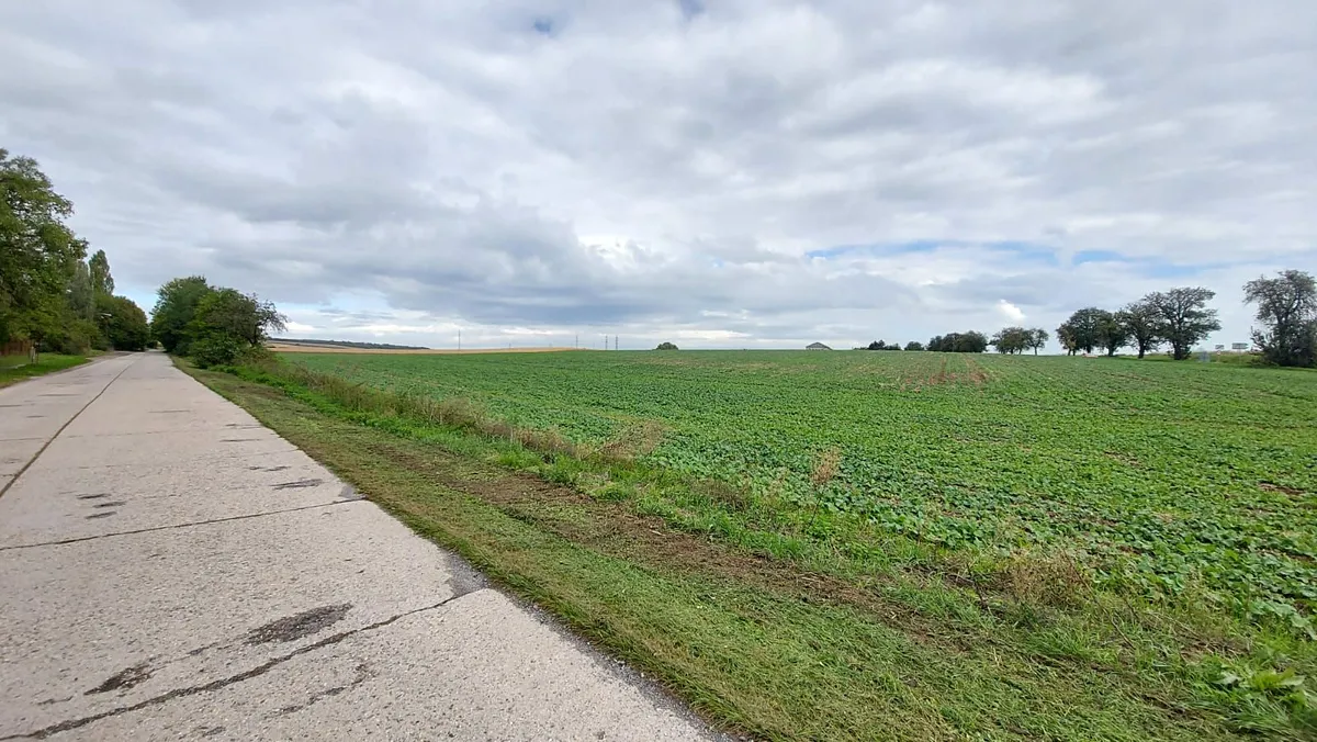 Prodej komerčního pozemku 25000 m²